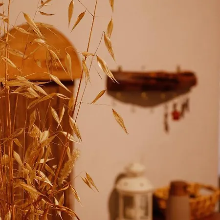 Casa Rustica Em - Karmea בית נופש אלטה